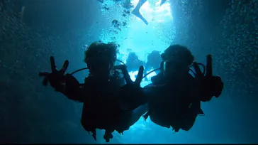 武藤潜水に投稿された画像（2023/7/20）