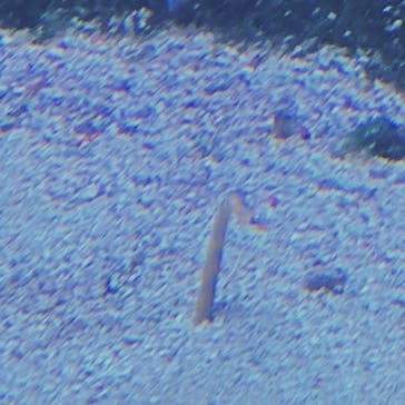 サンシャイン水族館に投稿された画像（2023/7/20）