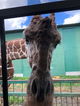 岩手サファリパークに投稿された画像（2023/7/20）