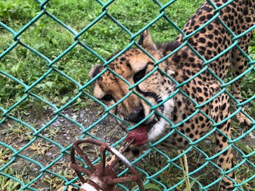 岩手サファリパークに投稿された画像（2023/7/20）