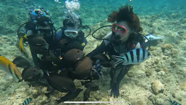 武藤潜水に投稿された画像（2023/7/20）