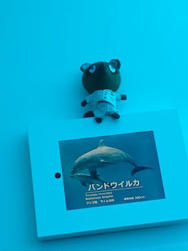上越市立水族博物館 うみがたりに投稿された画像（2023/7/20）