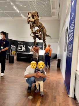 大阪市立自然史博物館に投稿された画像（2023/7/20）