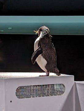 AOAO SAPPOROに投稿された画像（2023/7/20）