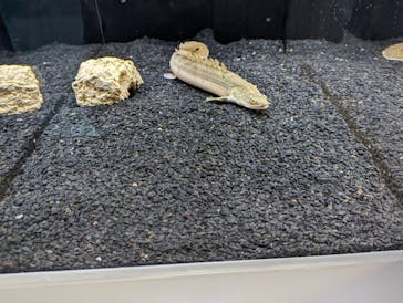 AOAO SAPPOROに投稿された画像（2023/7/20）