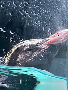 AOAO SAPPOROに投稿された画像（2023/7/20）