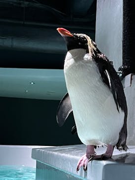 AOAO SAPPOROに投稿された画像（2023/7/20）