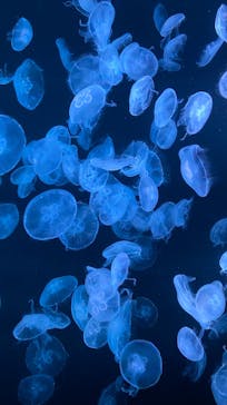 AOAO SAPPOROに投稿された画像（2023/7/20）