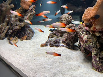 AOAO SAPPOROに投稿された画像（2023/7/20）