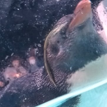 AOAO SAPPOROに投稿された画像（2023/7/20）