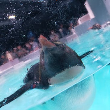 AOAO SAPPOROに投稿された画像（2023/7/20）