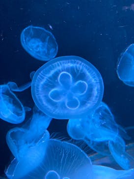 AOAO SAPPOROに投稿された画像（2023/7/20）