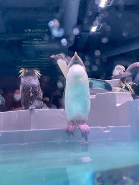 AOAO SAPPOROに投稿された画像（2023/7/20）