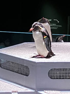 AOAO SAPPOROに投稿された画像（2023/7/20）