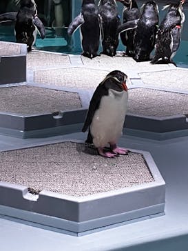 AOAO SAPPOROに投稿された画像（2023/7/20）