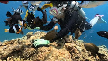 DIVING-SHOP SUNSに投稿された画像（2023/7/20）