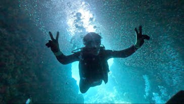 DIVING-SHOP SUNSに投稿された画像（2023/7/20）