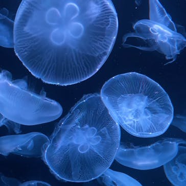 AOAO SAPPOROに投稿された画像（2023/7/20）