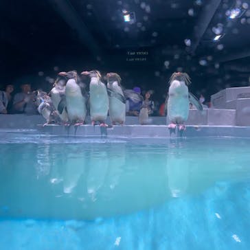 AOAO SAPPOROに投稿された画像（2023/7/20）