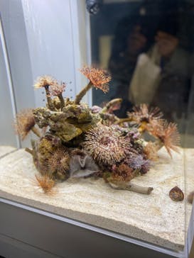 AOAO SAPPOROに投稿された画像（2023/7/20）