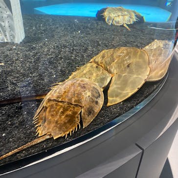 AOAO SAPPOROに投稿された画像（2023/7/20）