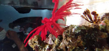 AOAO SAPPOROに投稿された画像（2023/7/20）