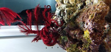 AOAO SAPPOROに投稿された画像（2023/7/20）