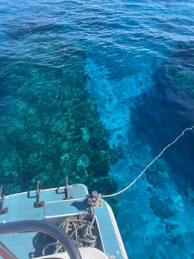 M.a.r.i.n.e Factoryに投稿された画像（2023/7/20）