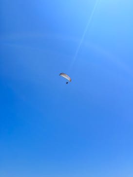 飛亭に投稿された画像（2023/7/20）