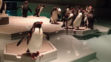 AOAO SAPPOROに投稿された画像（2023/7/20）