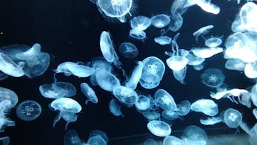 AOAO SAPPOROに投稿された画像（2023/7/20）