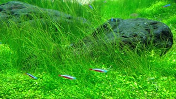 AOAO SAPPOROに投稿された画像（2023/7/20）