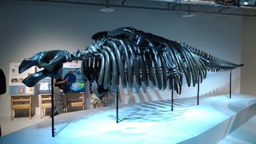 AOAO SAPPOROに投稿された画像（2023/7/20）