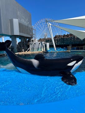 名古屋港水族館に投稿された画像（2023/7/20）