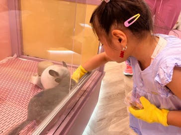 原宿かわいいランドキュンキュンに投稿された画像（2023/7/20）