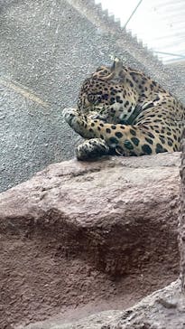 那須どうぶつ王国に投稿された画像（2023/7/20）