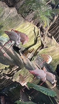 那須どうぶつ王国に投稿された画像（2023/7/20）