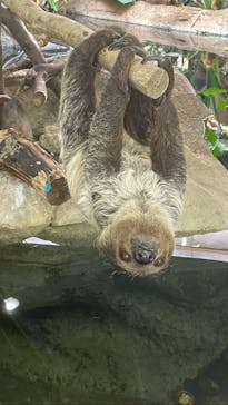 那須どうぶつ王国に投稿された画像（2023/7/20）