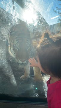 那須どうぶつ王国に投稿された画像（2023/7/20）