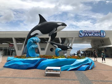 鴨川シーワールドに投稿された画像（2023/7/20）