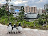 しながわ水族館に投稿された画像（2023/7/20）
