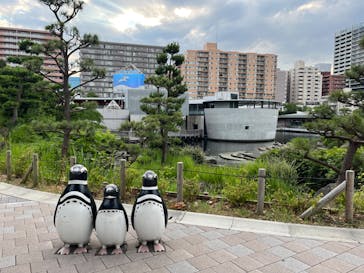 しながわ水族館に投稿された画像（2023/7/20）