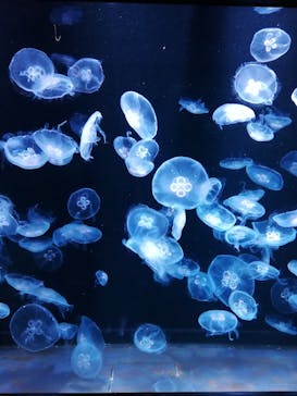 AOAO SAPPOROに投稿された画像（2023/7/20）