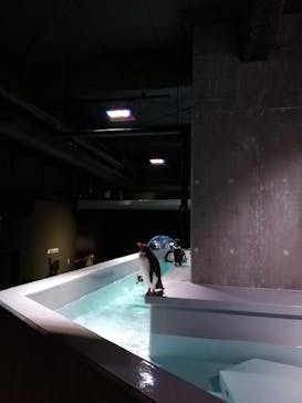 AOAO SAPPOROに投稿された画像（2023/7/20）