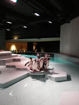 AOAO SAPPOROに投稿された画像（2023/7/20）