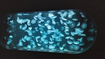 AOAO SAPPOROに投稿された画像（2023/7/20）