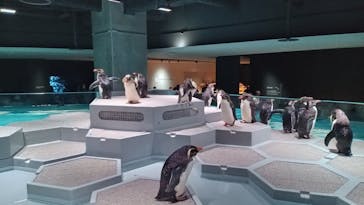 AOAO SAPPOROに投稿された画像（2023/7/20）