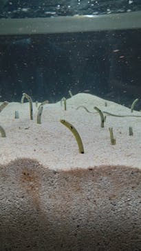 AOAO SAPPOROに投稿された画像（2023/7/20）