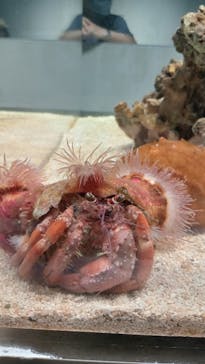 AOAO SAPPOROに投稿された画像（2023/7/20）