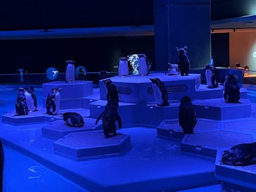 AOAO SAPPOROに投稿された画像（2023/7/20）